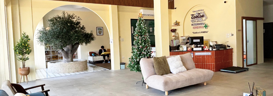 type="image/jpeg" width="1140" height="400" About Image